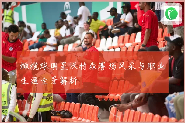 橄榄球明星沃特森赛场风采与职业生涯全景解析