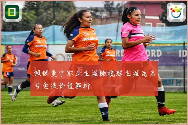 佩顿曼宁职业生涯橄榄球生涯高光与竞技价值解析
