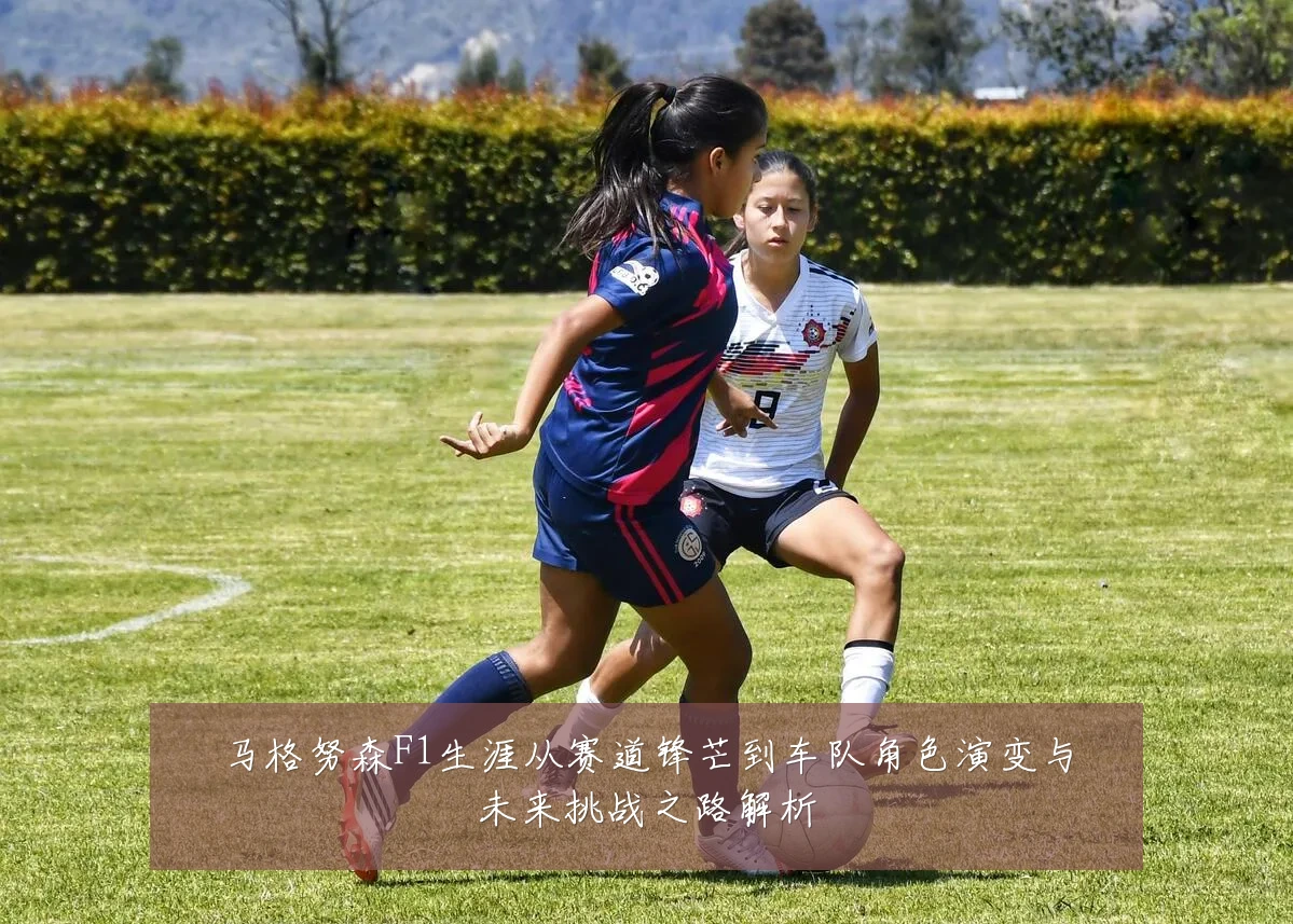 马格努森F1生涯从赛道锋芒到车队角色演变与未来挑战之路解析