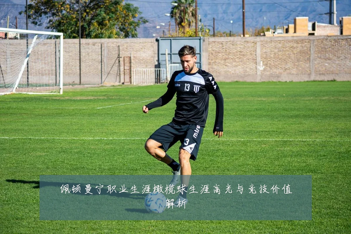 佩顿曼宁职业生涯橄榄球生涯高光与竞技价值解析