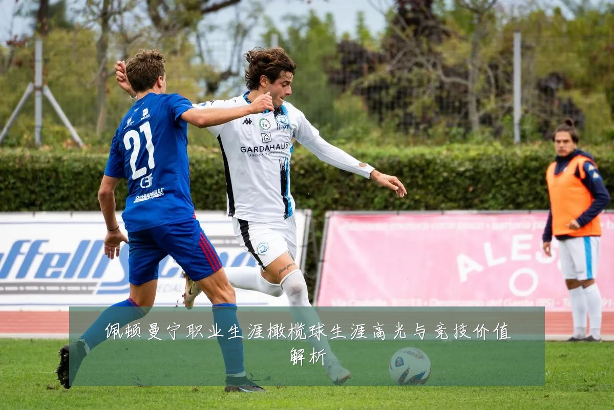 佩顿曼宁职业生涯橄榄球生涯高光与竞技价值解析